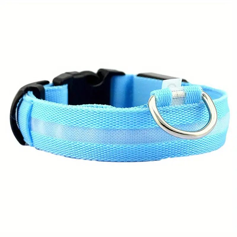 Night walk blue dog collar with light