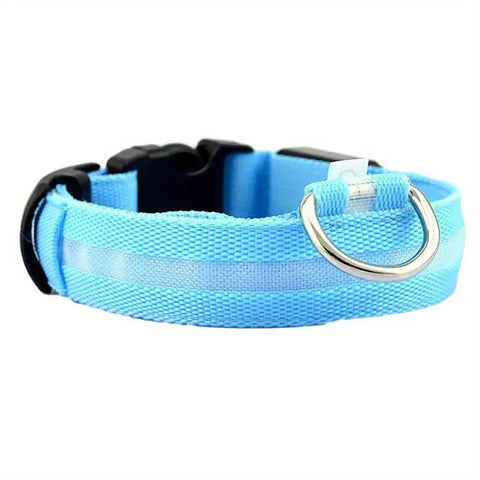 Night walk blue dog collar with light