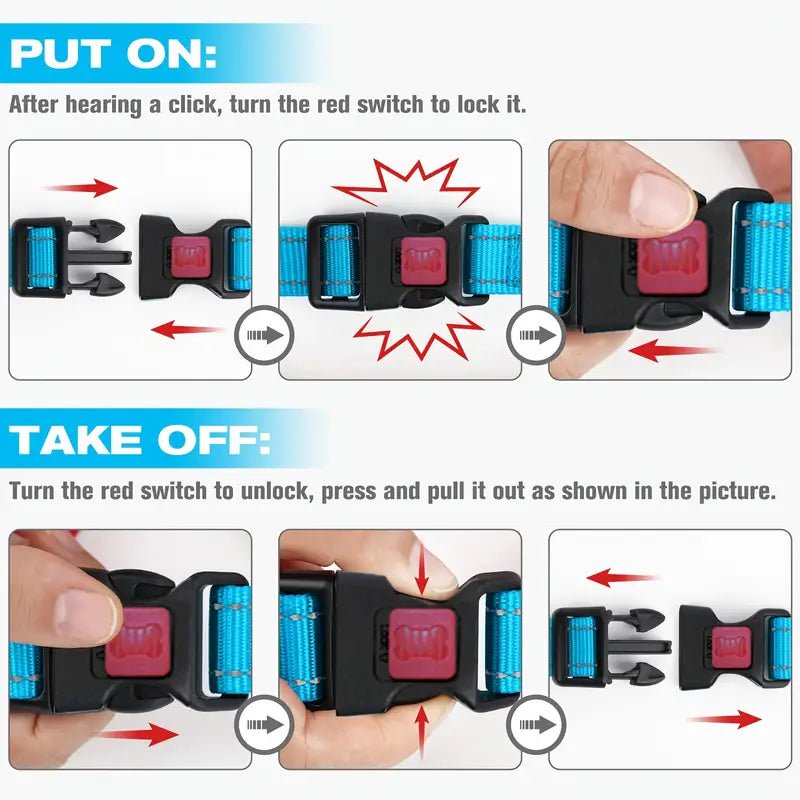 Training blue dog collar