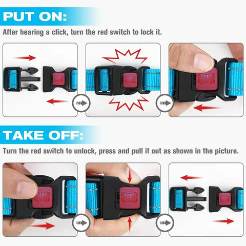 Training blue dog collar