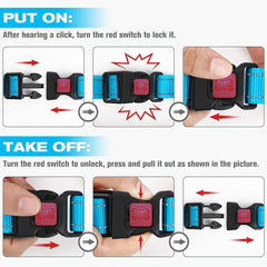 Training blue dog collar