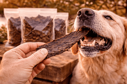 Bulk Beef Jerky Dog Treats 1kg | Premium Australian 3kg Bundle - Bark with Buster