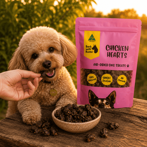 Chicken Heart Dog Treats Australia | Natural High Value Training Rewards - Bark with Buster