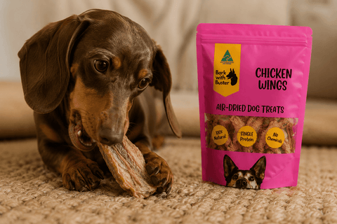 Chicken Wing Dog Treats Australia | Natural Crunchy Dog Chews - Bark with Buster