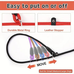 Slip Lead Dog Leash – Durable, Comfortable & Easy to Use - Bark with Buster