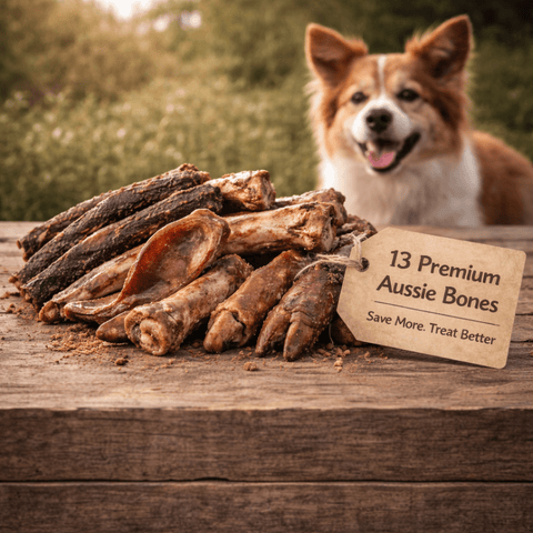Dog Bone Treats Chew Pack – 13 Premium Aussie Bones - Bark with Buster