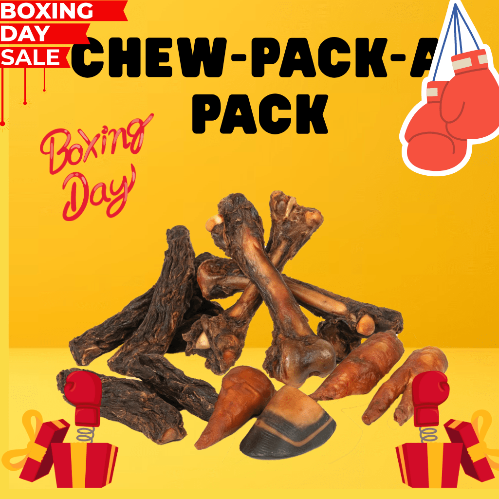 Dog Bone Treats Chew Pack