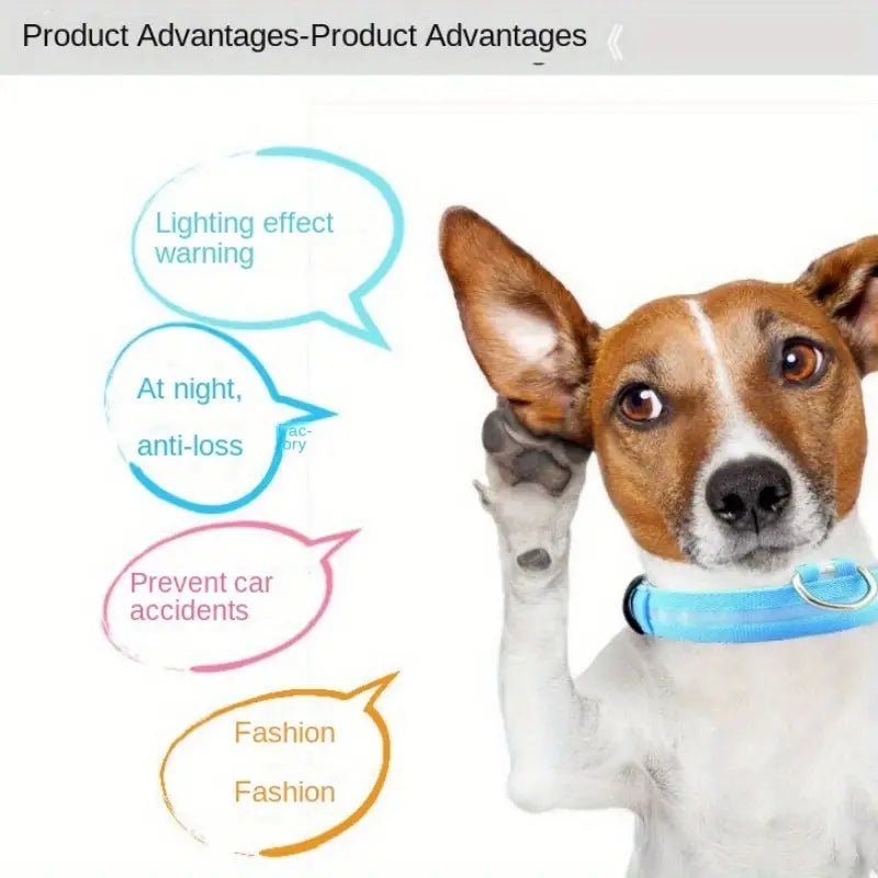 Glowing dog collar on Jack Russell dog