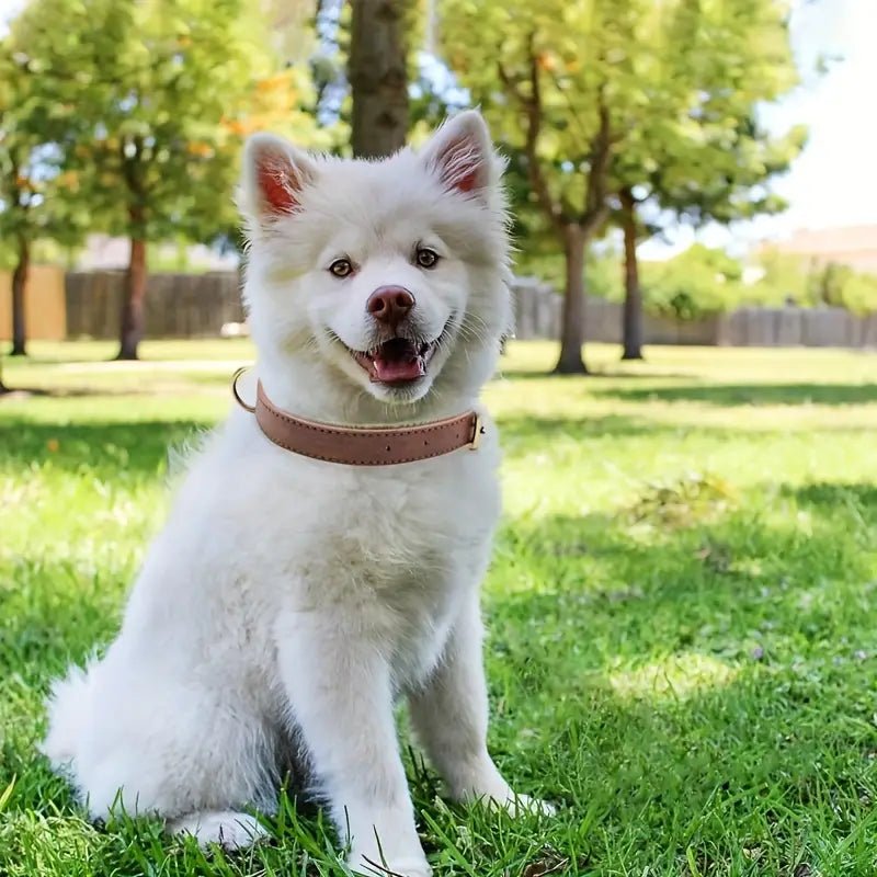 Dog Collar – Soft & Durable Leather for Comfort & Strength - Bark with Buster
