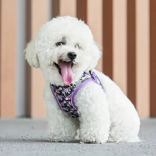 Reflective Adjustable Dog Harness with secure buckles