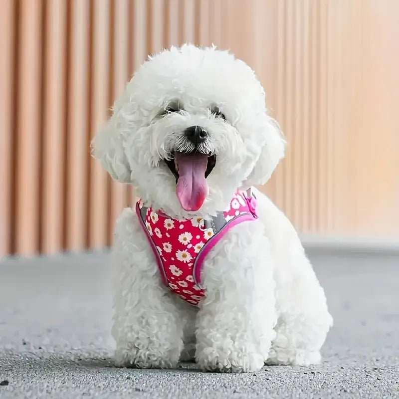 Reflective Adjustable Dog Harness s showing visibility strips for night walks