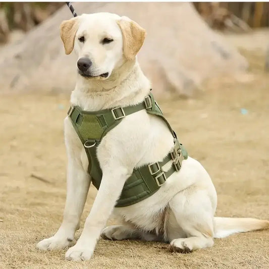 A strong dog wearing a Tough Tactical Dog Harness, sitting outdoors on grass, ready for adventure.