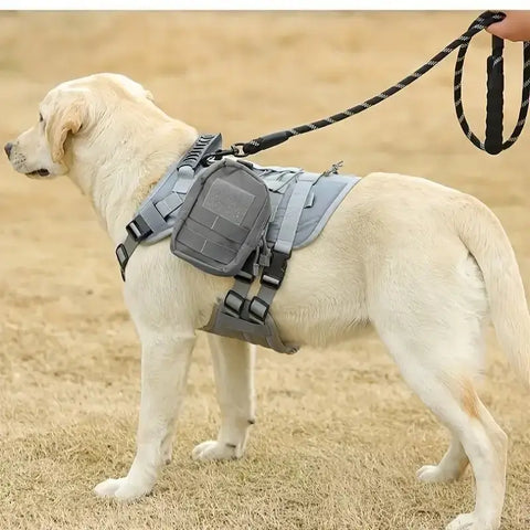 Tough Tactical Dog Harness on a Labrador, showcasing strong control and comfort for outdoor adventures.