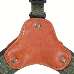 Y - Shaped Harness