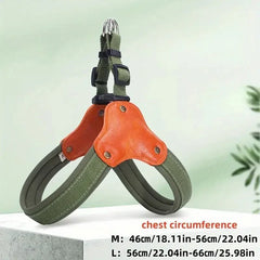 Dog Harness