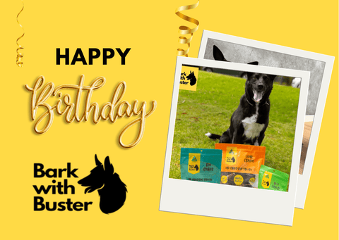 Happy Birthday Bark with Buster Gift Card with image of Black and White Dog