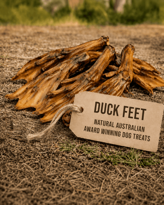 Duck Feet Dog Treats - Bark with Buster