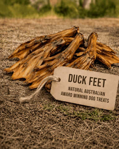 Duck Feet Dog Treats - Bark with Buster