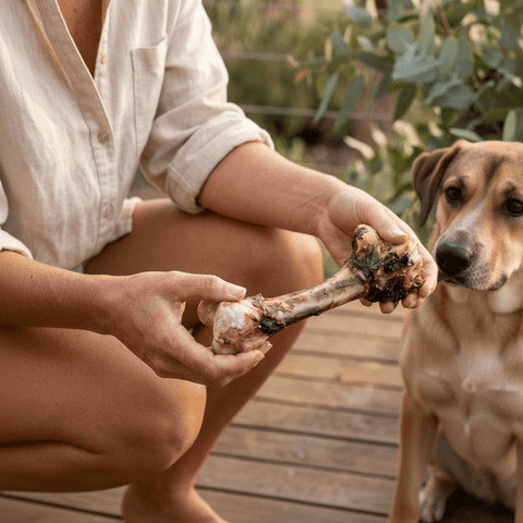 Emu Femur Bones For Dogs - Natural Aussie Chews - Bark with Buster