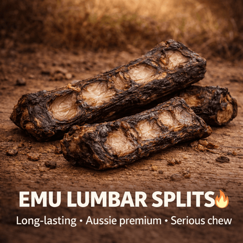 Emu Lumbar Split Dog Chews – Natural Australian Long - Lasting Treats - Bark with Buster