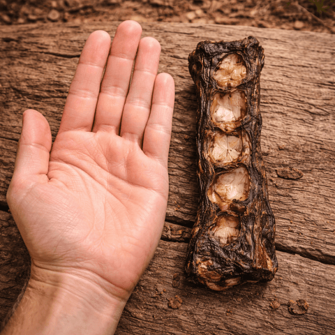 Emu Lumbar Split Dog Chews – Natural Australian Long - Lasting Treats - Bark with Buster
