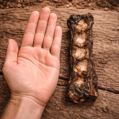 Emu Lumbar Split Dog Chews – Natural Australian Long - Lasting Treats - Bark with Buster