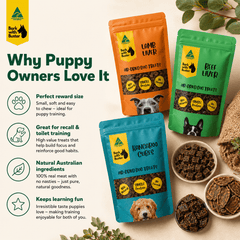 First Steps Puppy Training Pack – 3 Natural Rewards for Clever Little Paws - Bark with Buster