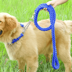 Heavy duty leash