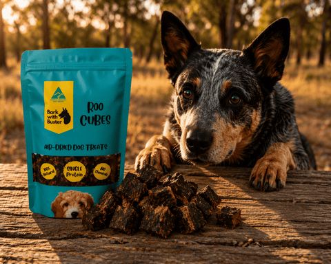 Kangaroo Cube Dog Treats – Bite - Size Training Rewards - Bark with Buster
