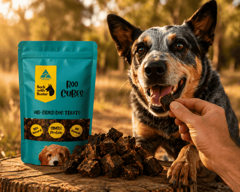 Kangaroo Cube Dog Treats – Bite - Size Training Rewards - Bark with Buster