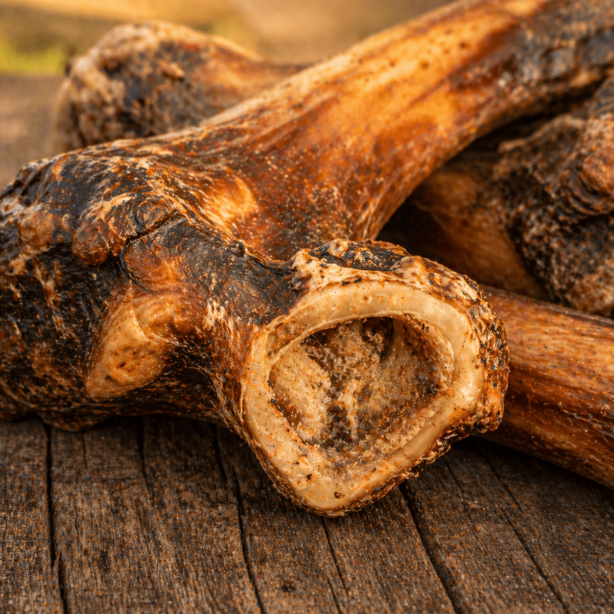 Kangaroo Femur Bones for Dogs – Long - Lasting Natural Chews - Bark with Buster