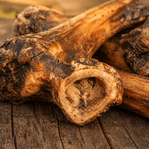 Kangaroo Femur Bones for Dogs – Long - Lasting Natural Chews - Bark with Buster