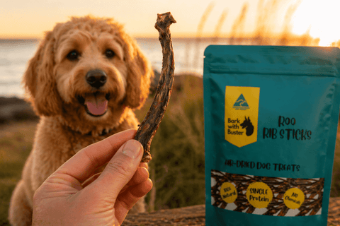 Kangaroo Rib Sticks for Dogs – Natural Chews for Small to Medium Dogs - Bark with Buster