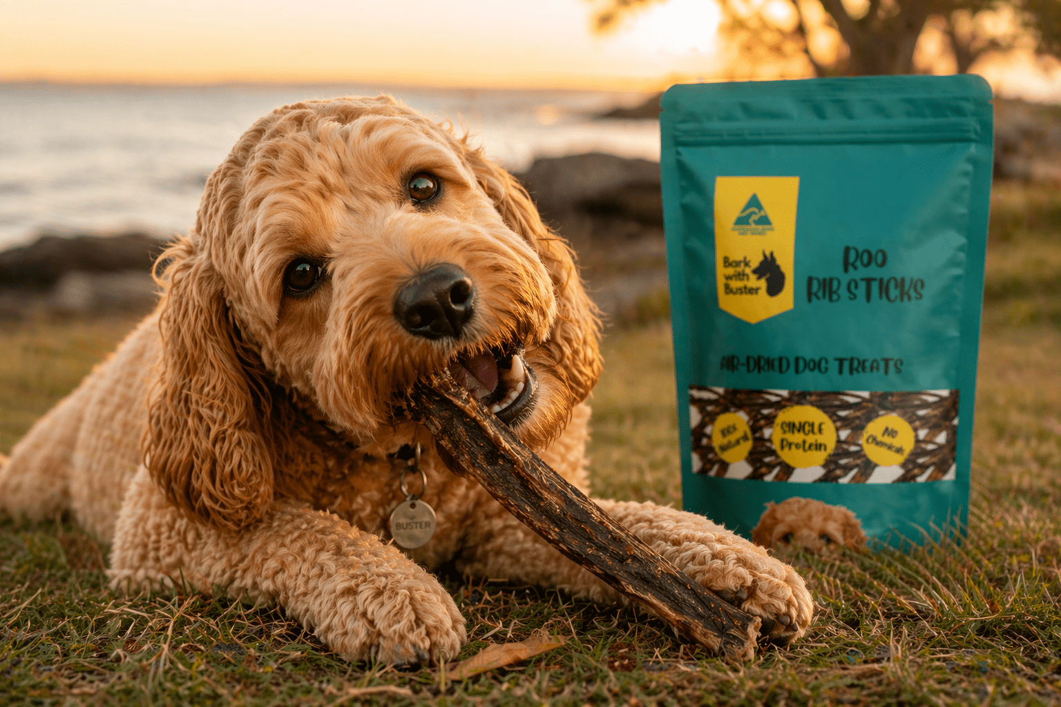 Kangaroo Rib Sticks for Dogs – Natural Chews for Small to Medium Dogs - Bark with Buster