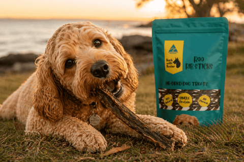 Kangaroo Rib Sticks for Dogs – Natural Chews for Small to Medium Dogs - Bark with Buster