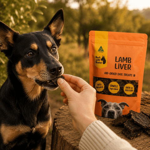 Lamb Liver Dog Treats Australia | Natural Air Dried Training Treats - Bark with Buster