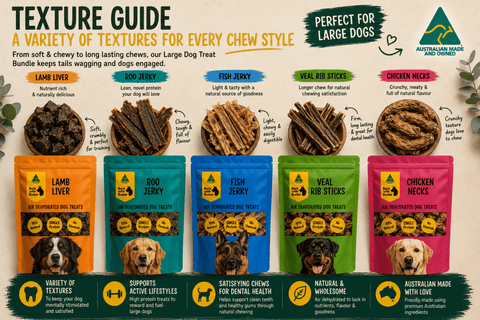 Large Dog Treat Gift Bundle - Bark with Buster