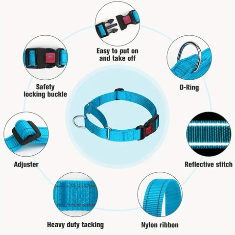 Secure blue martingale dog collar heavy duty