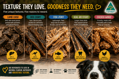 Medium Dog Treat Gift Bundle | Natural Dog Treats - Bark with Buster