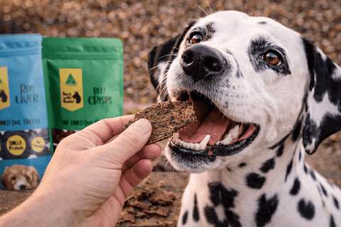 Mixed Dog Treats Saver Pack | Aussie Variety Bundle - Bark with Buster
