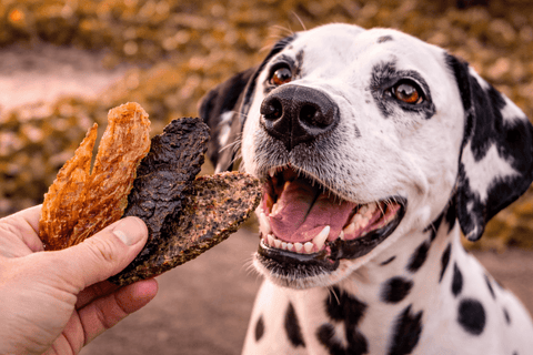 Mixed Dog Treats Saver Pack | Aussie Variety Bundle - Bark with Buster