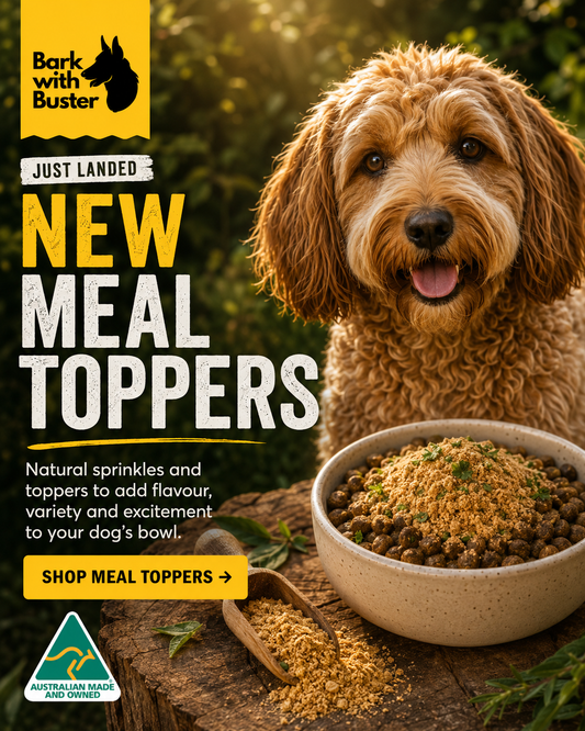 Cavoodle beside a bowl topped with natural Australian dog meal topper from Bark with Buster