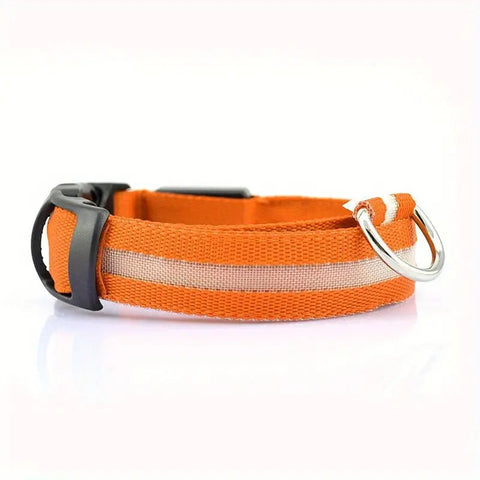 Orange Led Light up dog collar