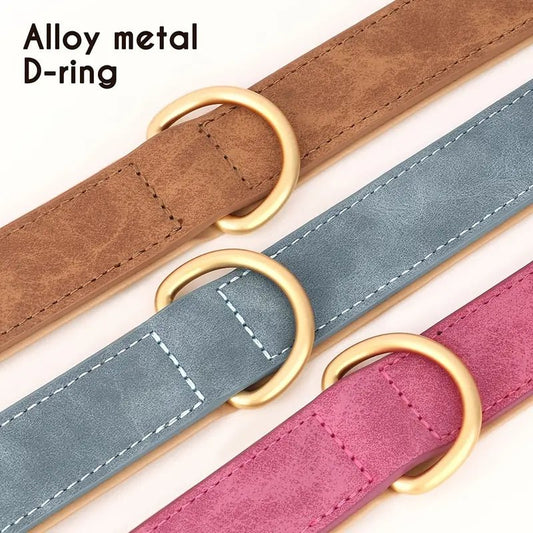 Durable padded leather dog collar with metal buckle and D-ring