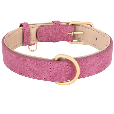 Durable padded leather dog collar with reinforced stitching