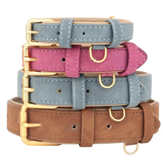 Premium padded leather dog collar with soft cushioned interior
