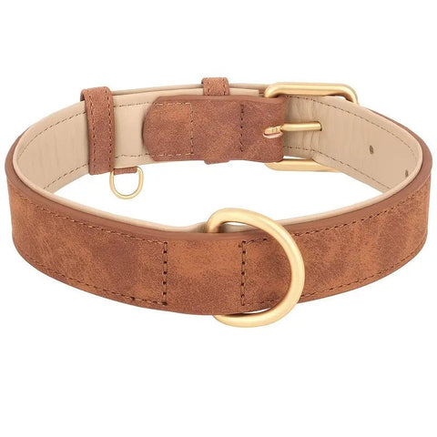 Stylish padded leather dog collar with premium metal hardware