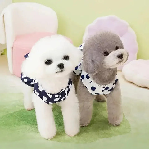 Summer Dog Clothing