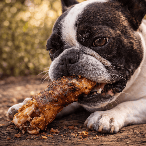 Premium Aussie Dog Bones – 13 Pack - Bark with Buster