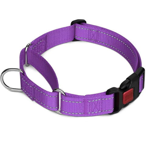 Adjustable purple martingale dog collar